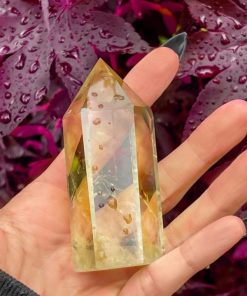 Modestore.shop0c2cee45f1 1