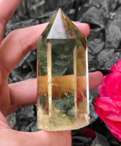 Modestore.shop0c2cee45f1 2