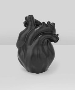 Modestore.shop1570308593 2