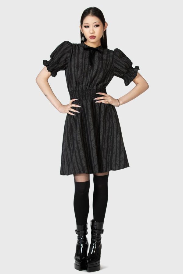 Modestore.shop8286cca017 2