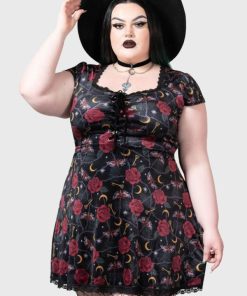 Modestore.shopb64acd9674 2